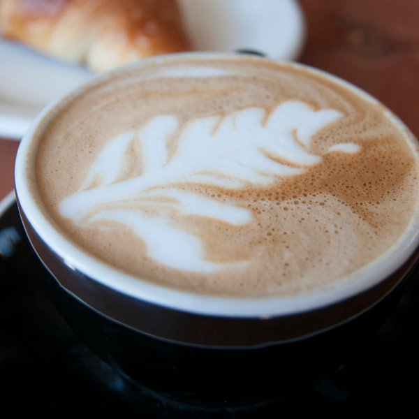 カフェラテ カフェオレ カプチーノ似ているコーヒードリンクの違いは何 作り方や味の違いも解説 シェパードコーヒー